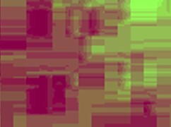 SUCTION ON BIG PUSSY CLIT GOES WILD!