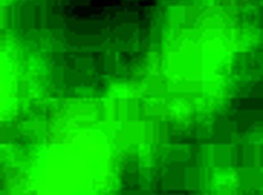 yo this tight nigerian pussy grips like crazy 😩 homemade amateur close-up