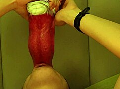 giant wolf's rough tongue invades college boy's deep mouth