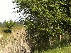 check out this milf fingering wet pussy naked on wild beach