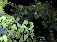 i brought a stranger girl from the club home. we fucked till she flew into orgasm