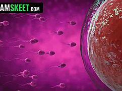 foursome sluts with bubble butts learn to ride big cocks for the team pov.