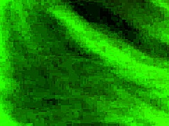 hottie sasha kneels and sucks every drop of jizz from my throbbing cock for her facial fix