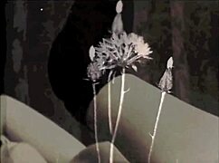 Vintage Erotic Drawings Explode with Retro Passion!