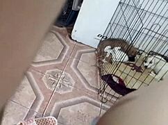 she talks her ex into coming back with a hot blowjob ending in cum-filled pussy begging for more