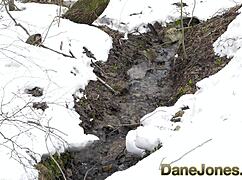 dane jones blonde babe takes deepthroat blowjob public doggystyle pounding facial cumshot