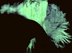 check these vintage erotic hairy pussy drawings