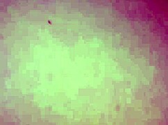 Dripping cum oozes from my pussy feels incredible big load