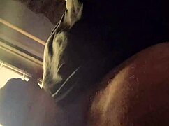 Bad Wolf28 Drowned in Raining Thick Hard Penes