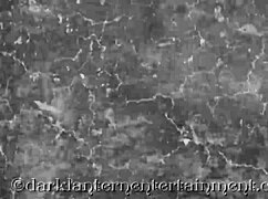 back in victorian times, this english gentleman spills his steamy erotic confessions of group hairy pussy bangs and blowjobs