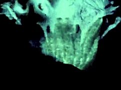 hey, dive into two centuries of hairy pussy licking vintage action