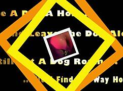 queen k loves sweet pain on my thick dick