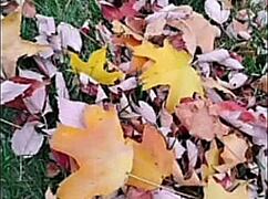 Remakes Echo First Love Lyrics in Free Fun Blog