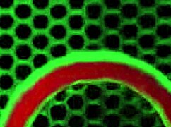 Lusty Alicia Reign Selina Love Pounded By Rome Major