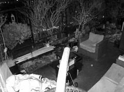 M4rkus77cgn Caught Jerking Huge Cock Moaning Cumming on Spy Cam Update 4 Public Flashing