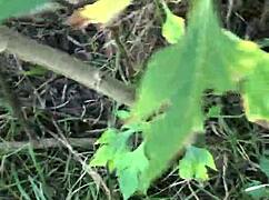 i called him over to the field with me an we fucked wild in the bushes my pussy drippin