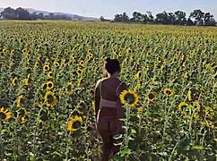 brazilian damiana naughty sunflower field fuck! 🌻💦