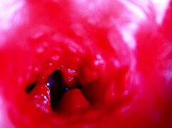Get extreme close-up inside my pregnant wet pussy asmr moaning to orgasm