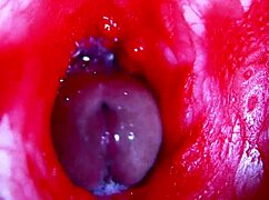 Get extreme close-up inside my pregnant wet pussy asmr moaning to orgasm