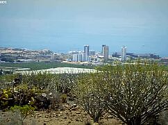 Cock Stakeout Blowjob! Chloe Lamour Swallows Outdoor Cum Facial Cumshot!