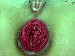 i love destroying my juicy milf asshole with extreme gaping close up assplay