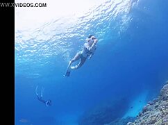 those okinawa hibiscus nipples during sleepy fucks