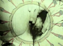 uncover the erotic secrets in vintage hairy milf fucking reels