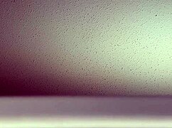 Intrigued by those loud fucking sounds from my window?