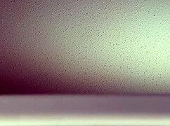 Intrigued by those loud fucking sounds from my window?