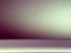 Intrigued by those loud fucking sounds from my window?