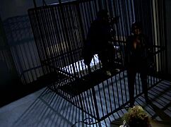 oh man i dressed as catwoman for this wild threesome trapped in the cage fuckin crazy!!