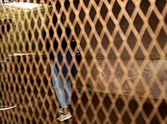 i cant believe this ebony wife gets fucked by her colleague right in front of hubby then he takes hubby too