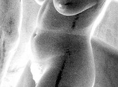 ever wondered about vintage erotic secrets??