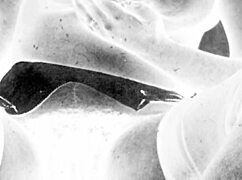 ever wondered about vintage erotic secrets??