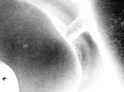 ever wondered about vintage erotic secrets??