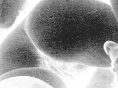 ever wondered about vintage erotic secrets??