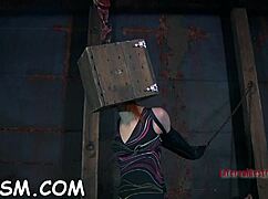 guy works babe's slit in pleasure contest game