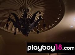 classy kelley thompson strips lingerie bares big fake tits pussy