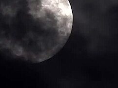 what if married couple banged aliens in wild wedding foursome?