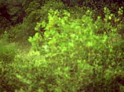 Milf Snares Hung Fisherman's Pulsing Cock