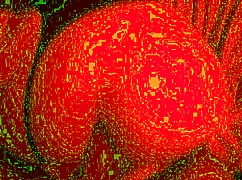 amateur housewife's big ass anal licking in lingerie