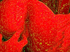 amateur housewife's big ass anal licking in lingerie