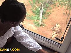 Sexy Ebony Girlfriend's Big Ass Pounded Hard by BWC in Amateur Doggystyle