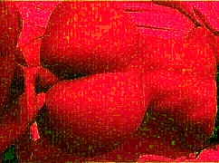 😍 fodendo essa morena gostosa de raba grande que peguei na praia pov!