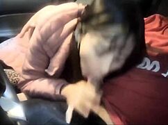 follame en el auto papi candyboom bends over wet pussy in garage