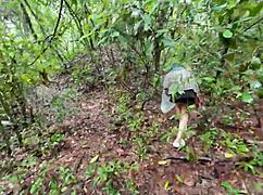 thai girl forest mushroom hunt deep woods secret show thai moans cosplay