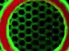 Big Tits Milf Penny Pax Licks Wet Pussy Lips and Huge Clit in Dirty Talk Lesbian Tongue Kissing Orgy!