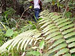 slept with bush fat bbw woke up doggystyle hairy pussy monster cock