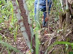 slept with bush fat bbw woke up doggystyle hairy pussy monster cock