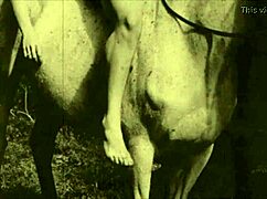 check out this retro hairy pussy riding vintage action